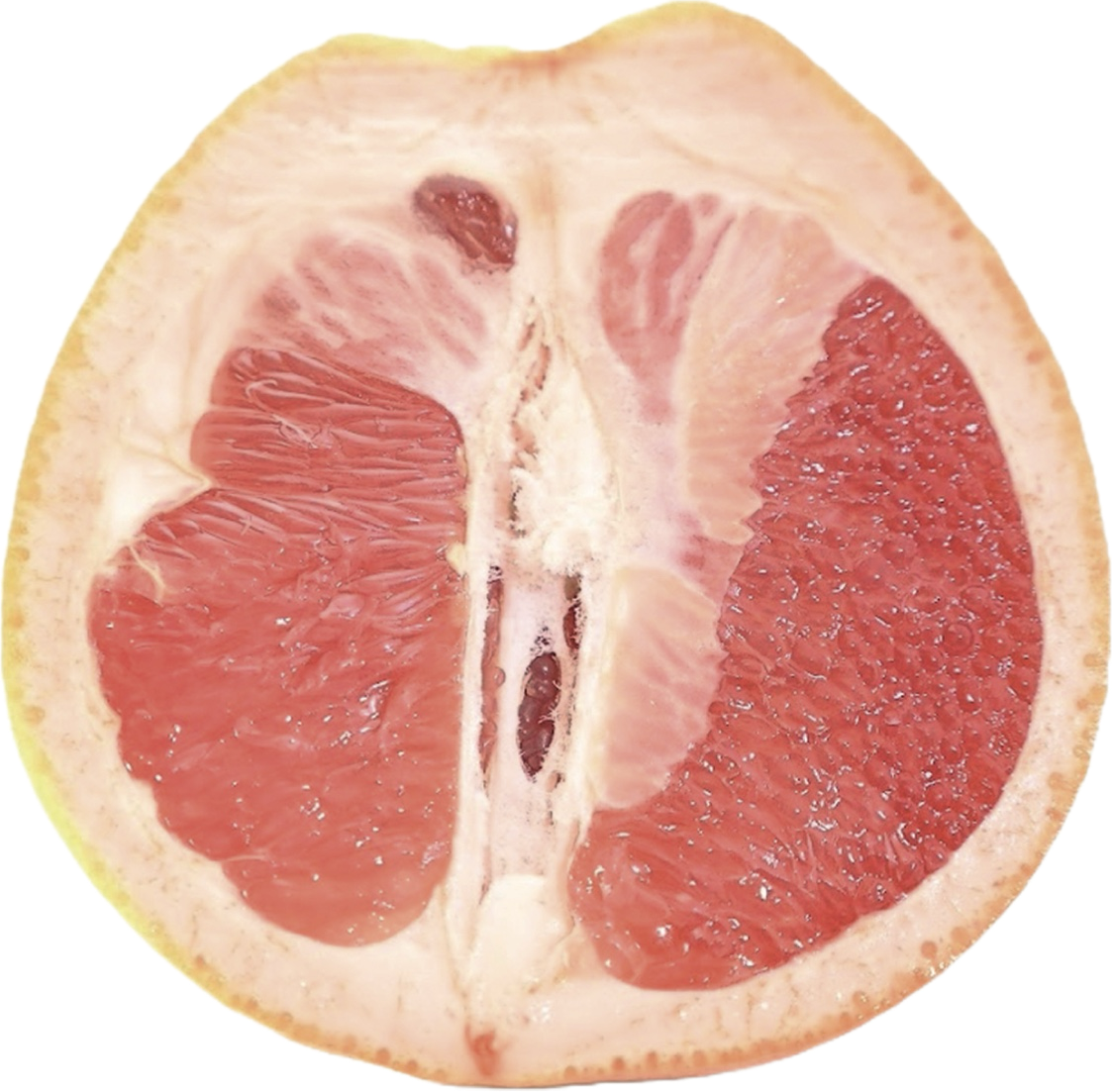 Grapefruit